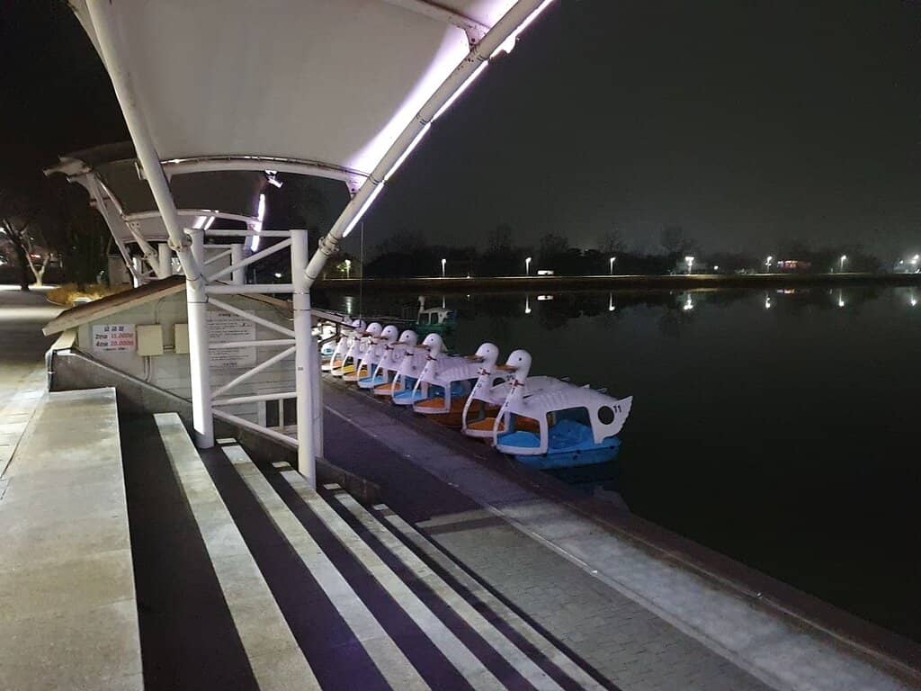 Cherry Blossom Trails