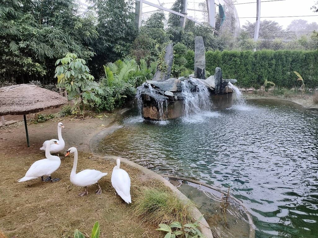Lush Natural Setting