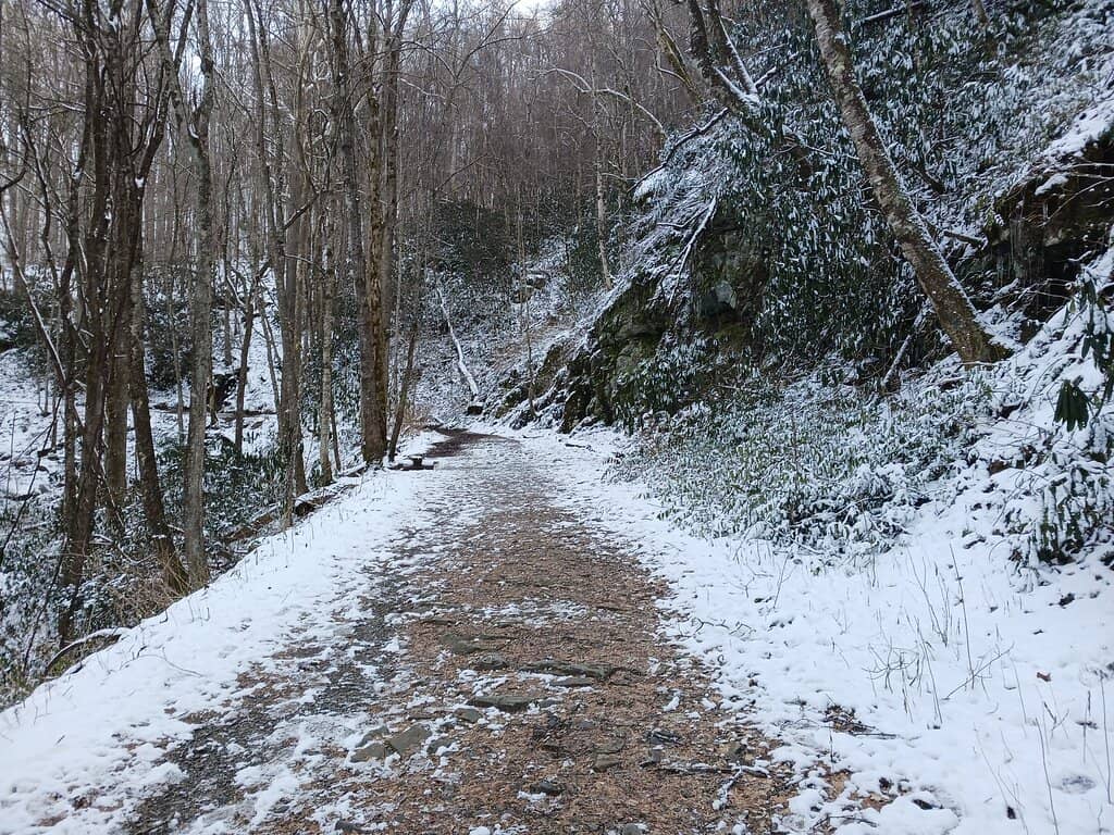 Vertical photo