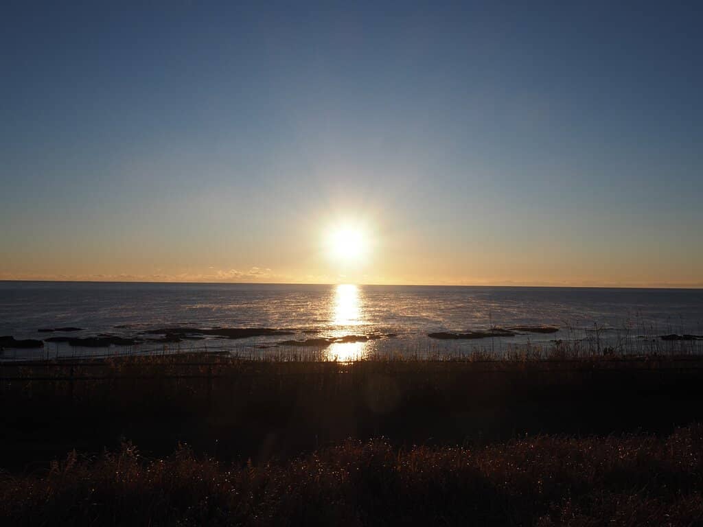 Lively Dockside Atmosphere