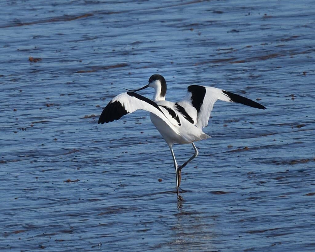 River Exe Canal & River Trip