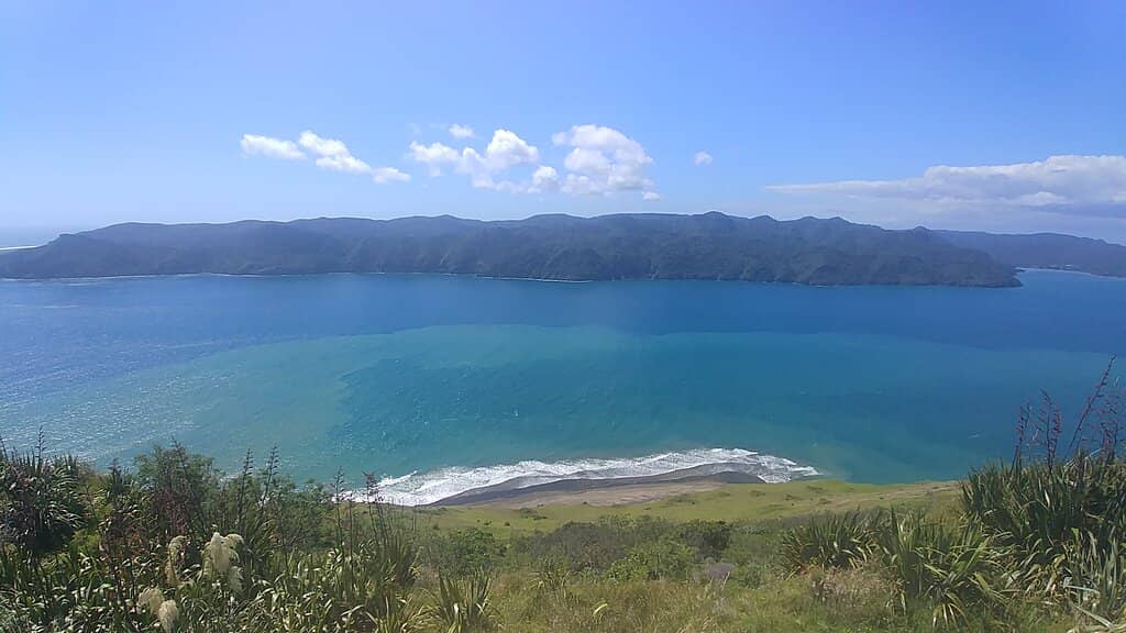 Scenic Coastal Drive