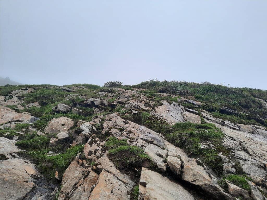 Valley of Flowers National Park