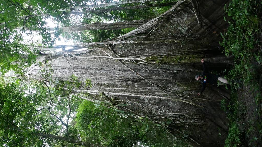 Abundant Wildlife Spotting