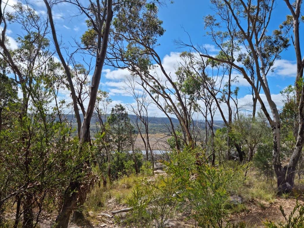 Vertical photo