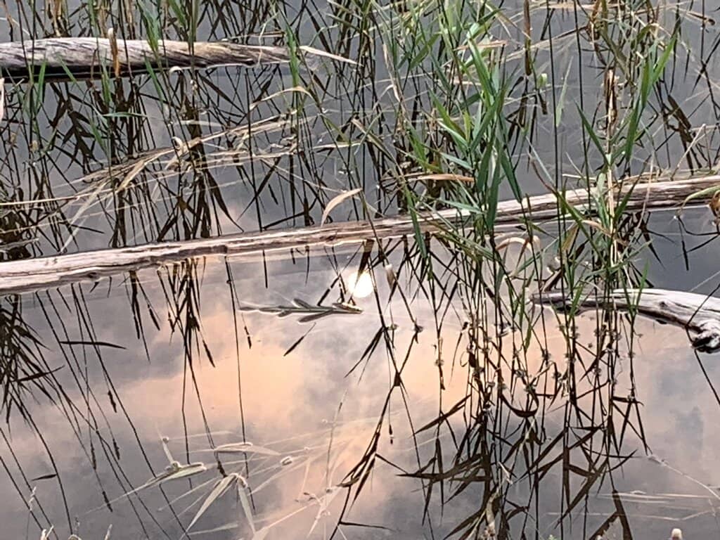 Sandy Beach & Playground