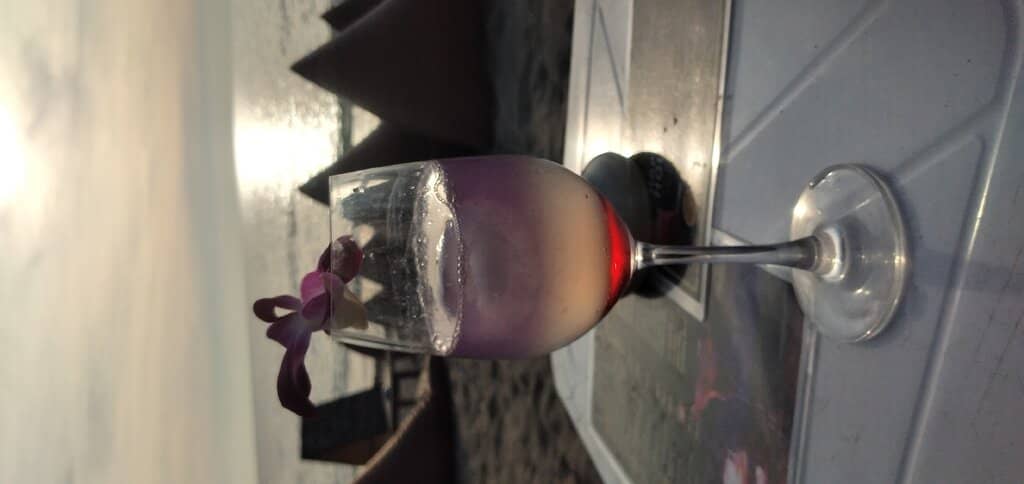 Rocky Shoreline Exploration