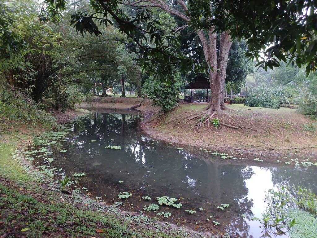 Scenic Footbridges