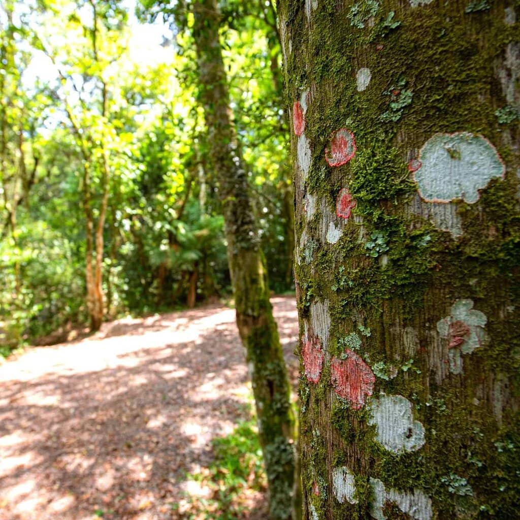 Castelinho do Caracol