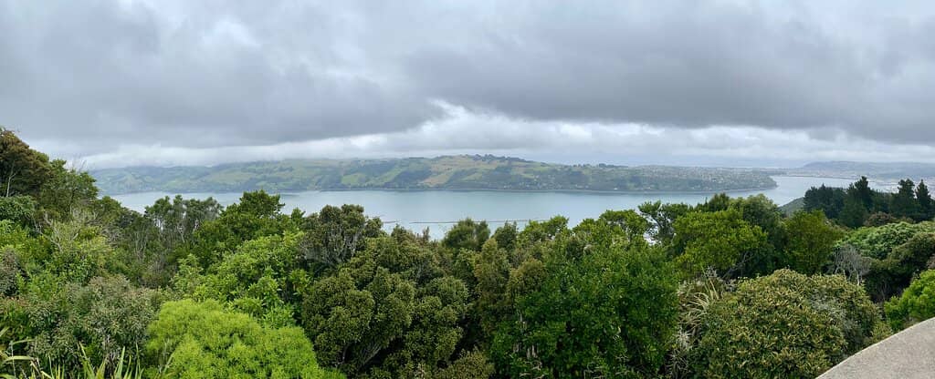 The Battery Neighborhood