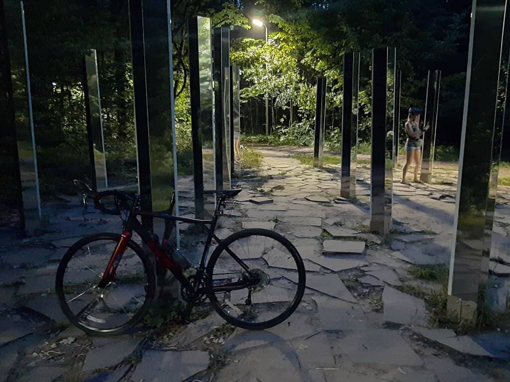 The Forest Trails