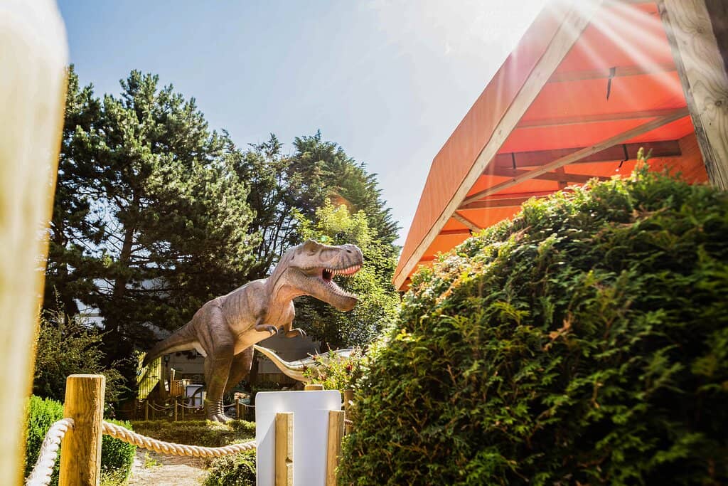 Interactive Exhibits