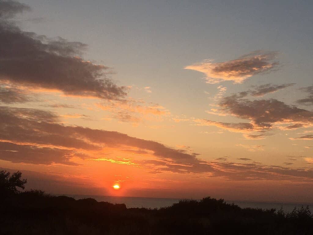 Horse Riding Adventures