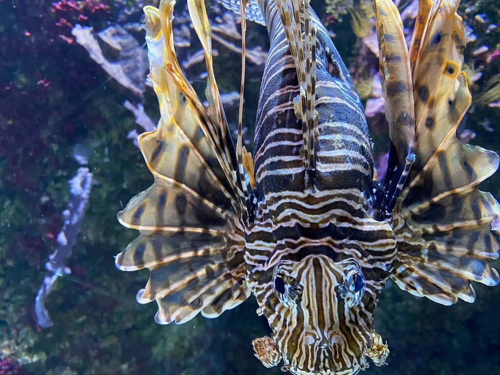 Maritime History Exhibits