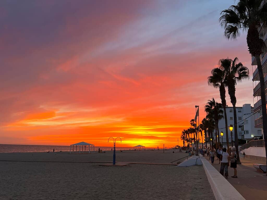 Vibrant Beachfront Promenade