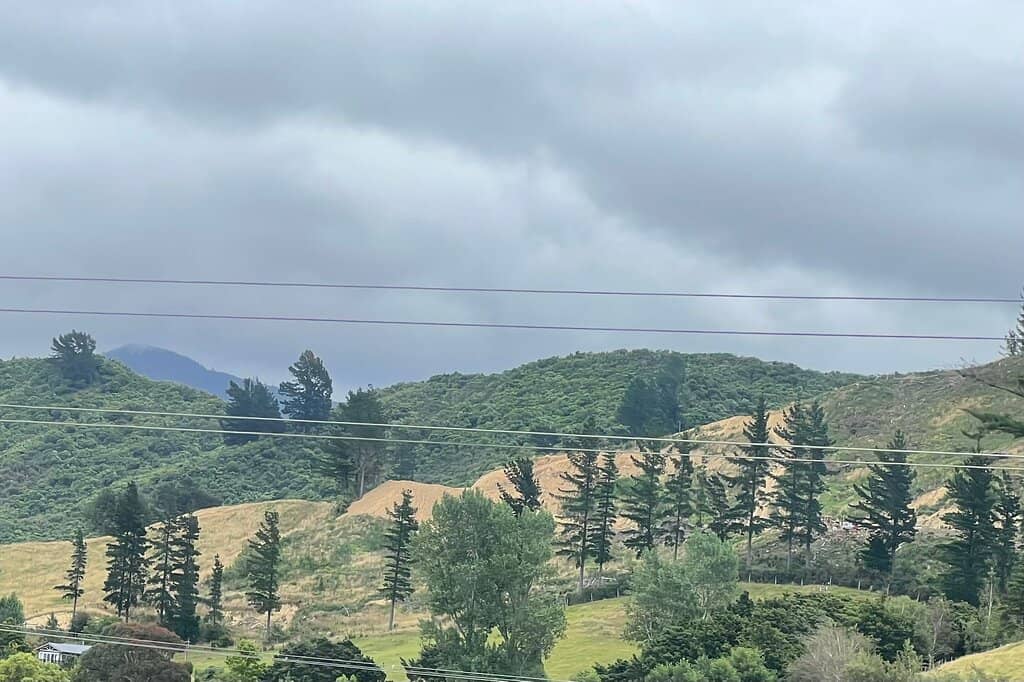Motuara Island Bird Sanctuary
