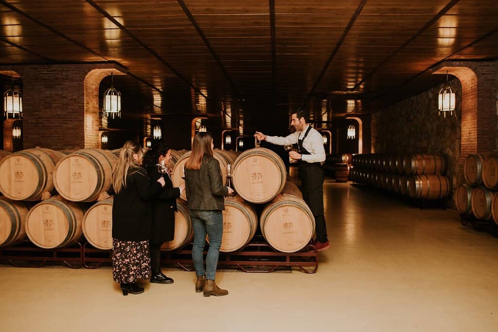 Divine Rioja Wines
