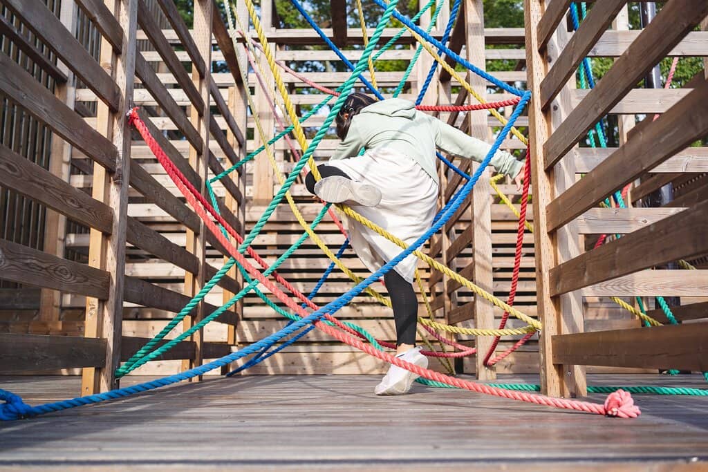 Scenic Roller Coaster Bus
