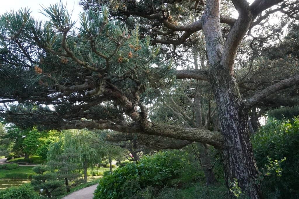 Scenic Hiking Trails