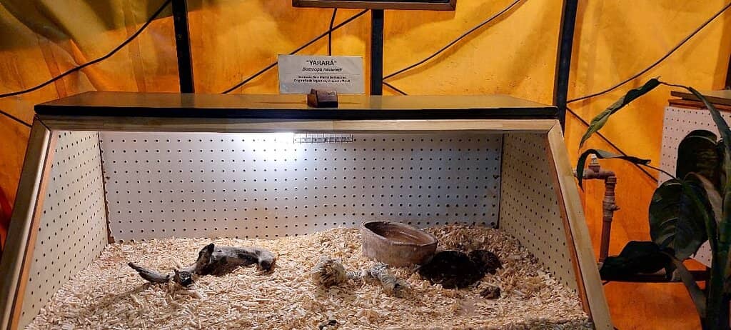 Educational Encounters