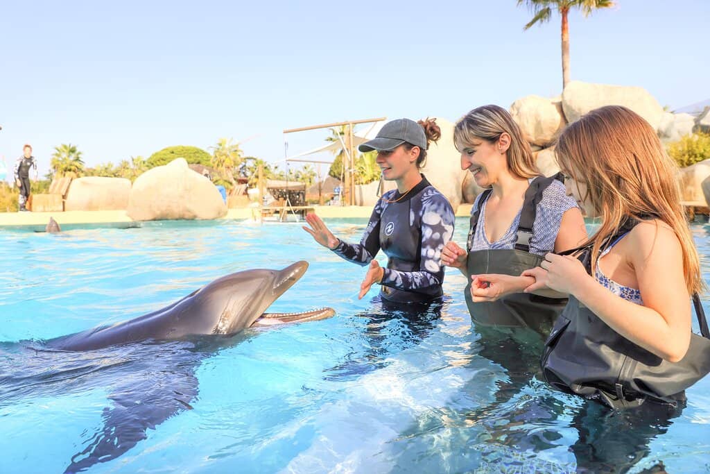 Dolphin Bay