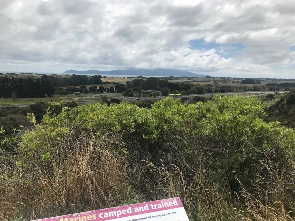 Forest Loop Track