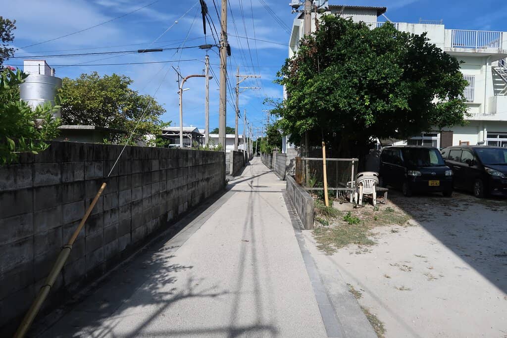 Sea Turtle Encounters