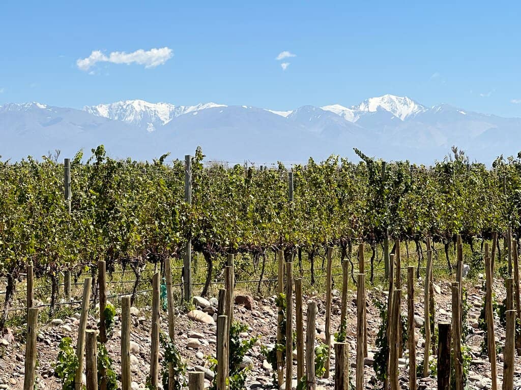 Uco Valley Mountain Views
