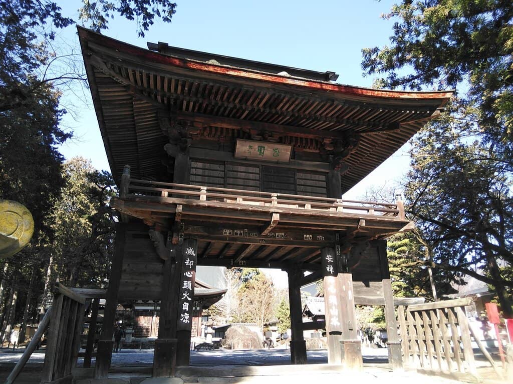 Autumn Maple Spectacle