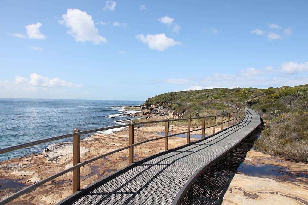 Scenic Walking Path