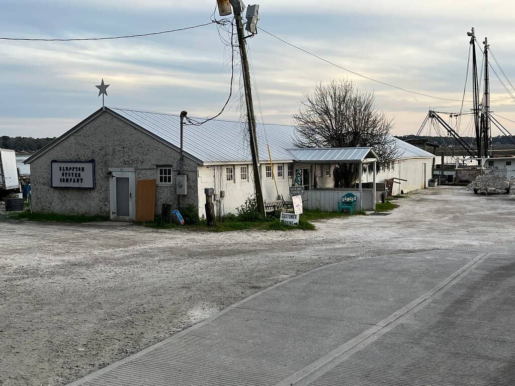 Local Shrimp Delights