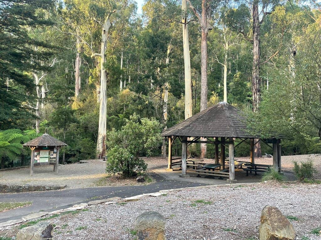 Lyrebird Trail