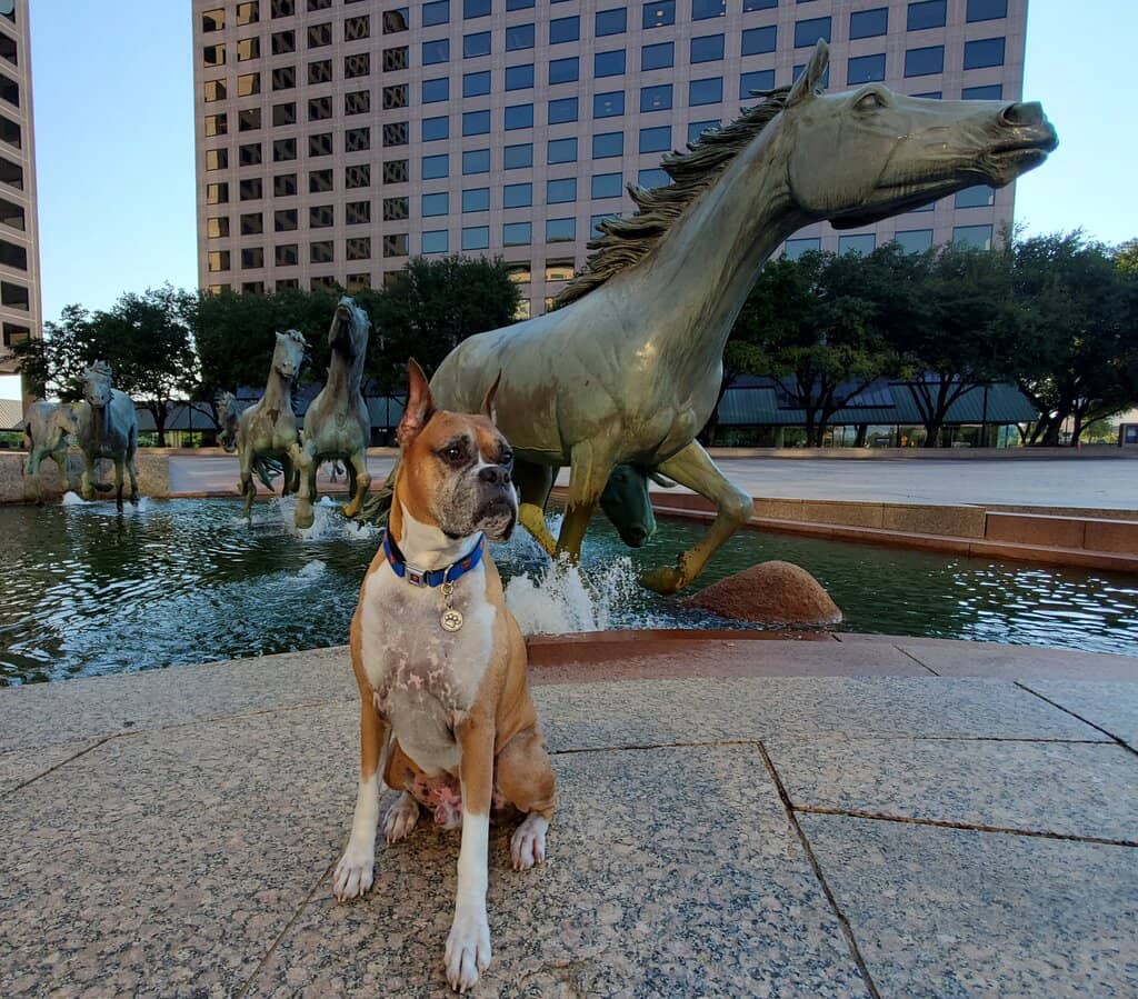 Williams Square Plaza