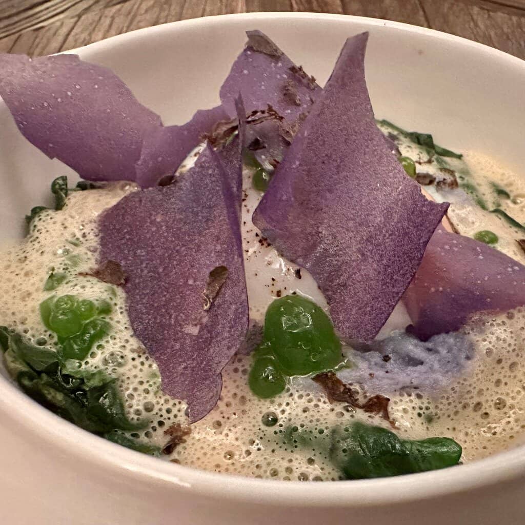 Eclectic Wine Selection