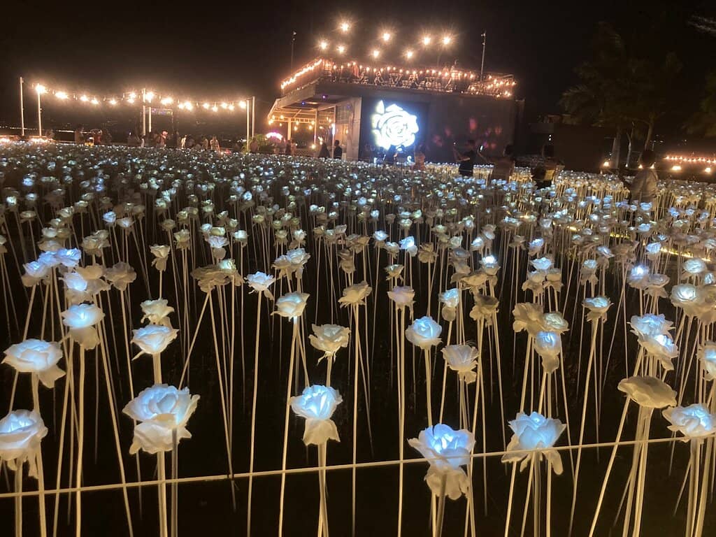 Instagram-Worthy Photo Ops