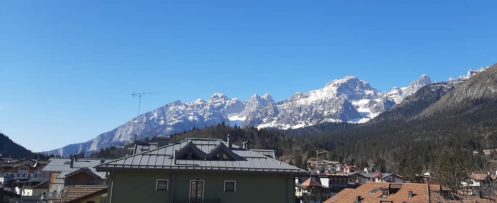 Elusive Wolves and Lynx