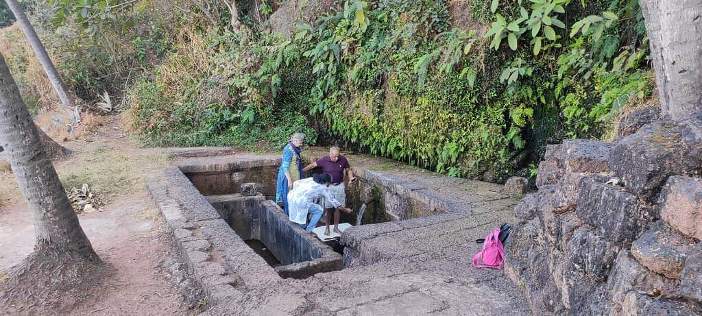 Peaceful Shoreline Walk