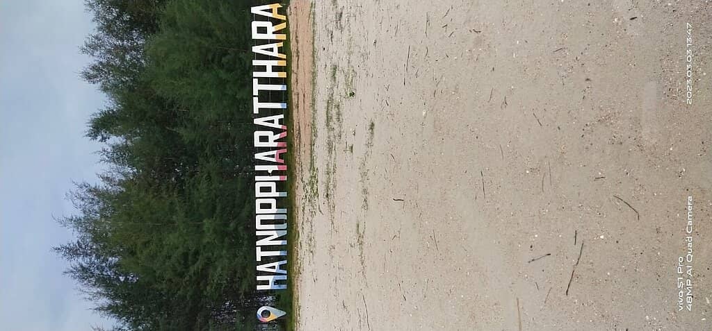 Vertical photo