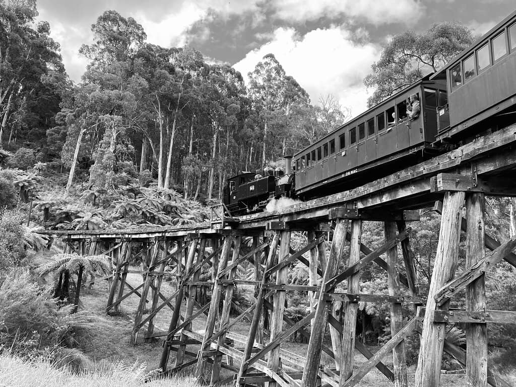 Open-Sided Carriage Experience