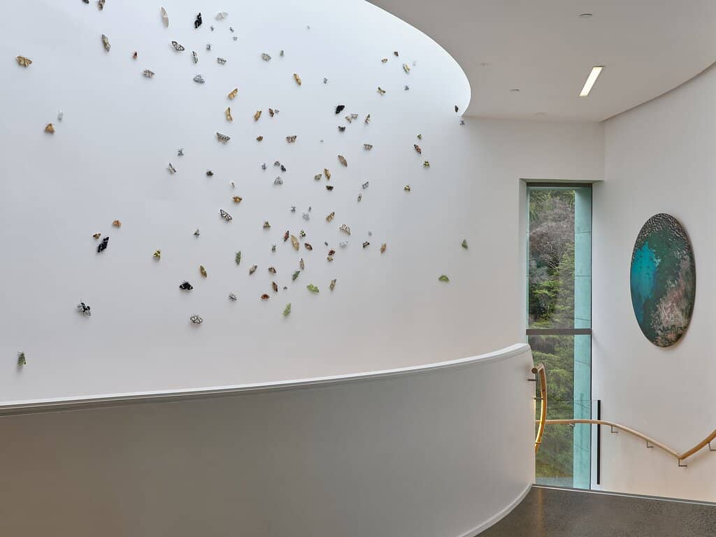 Contemporary Art Installations