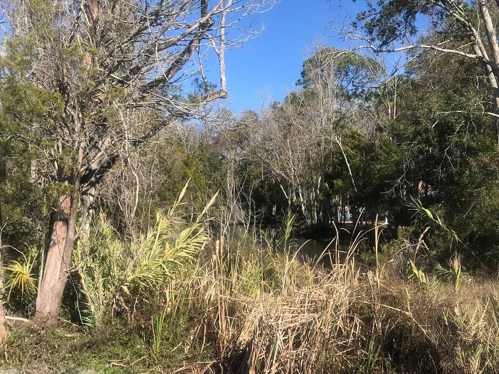 Kayaking & Paddleboarding