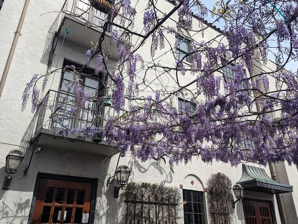 Hunter Museum of American Art