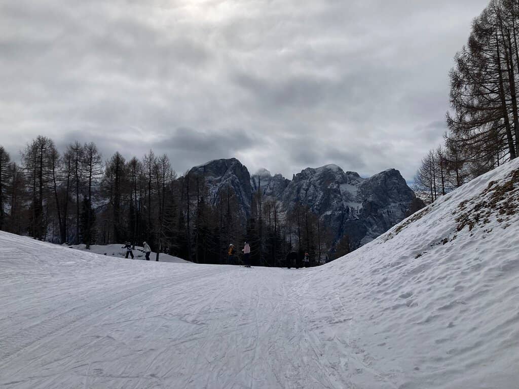 Alpine Coaster