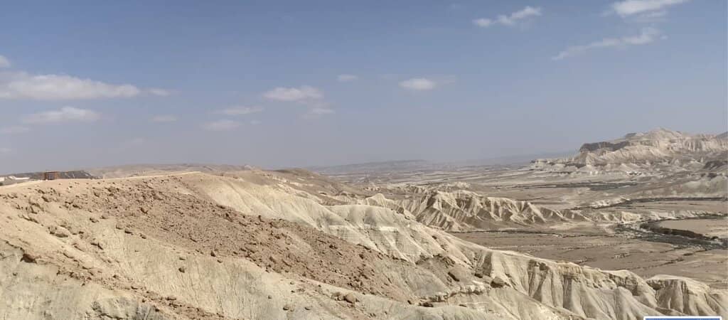 Wild Goat Encounters