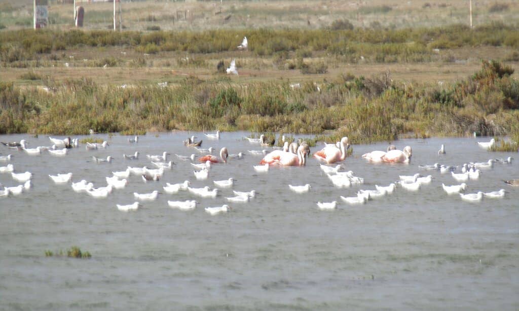 Nature and History Exhibits