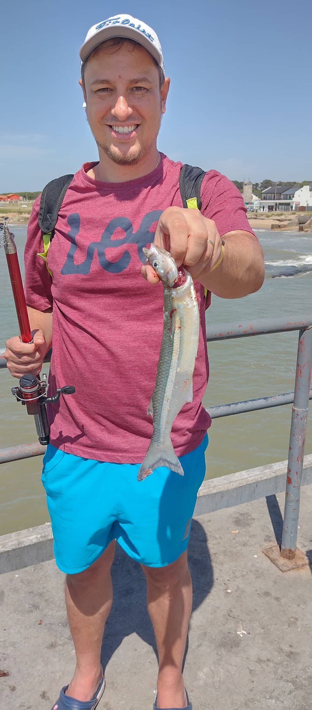 Fishermen's Daily Catch