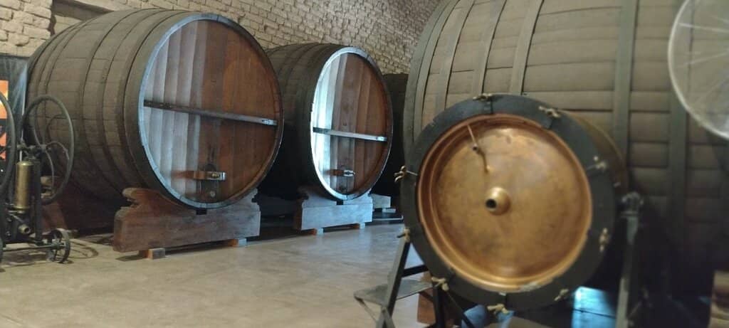 Vineyard and Production Tour
