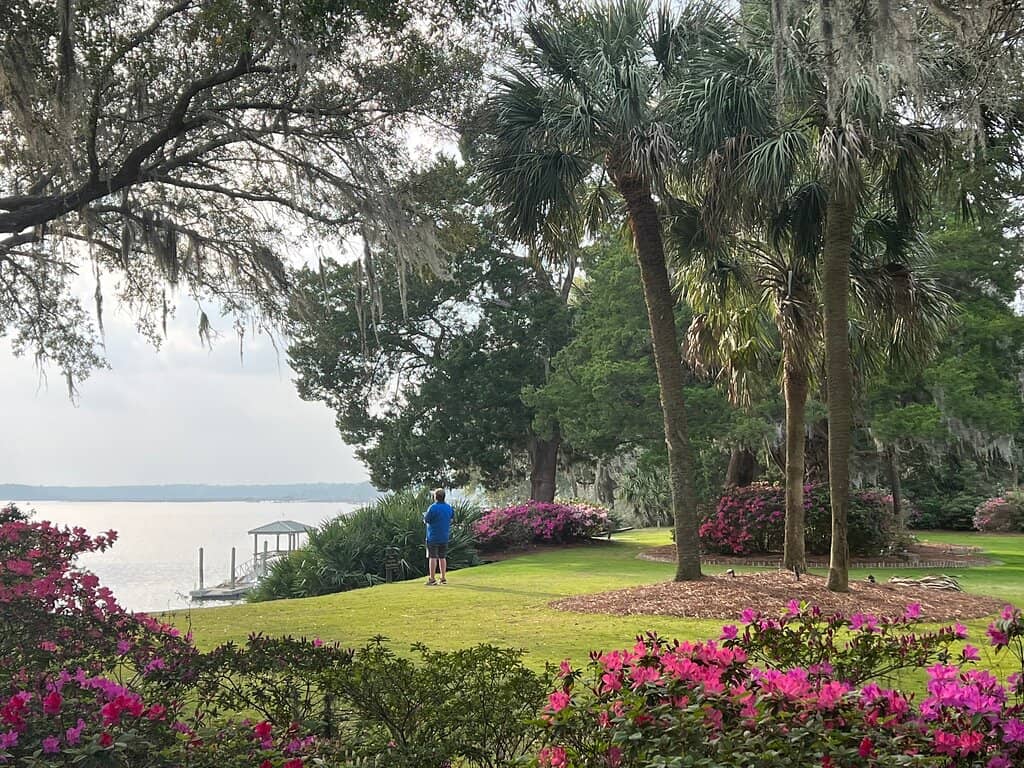 May River Views