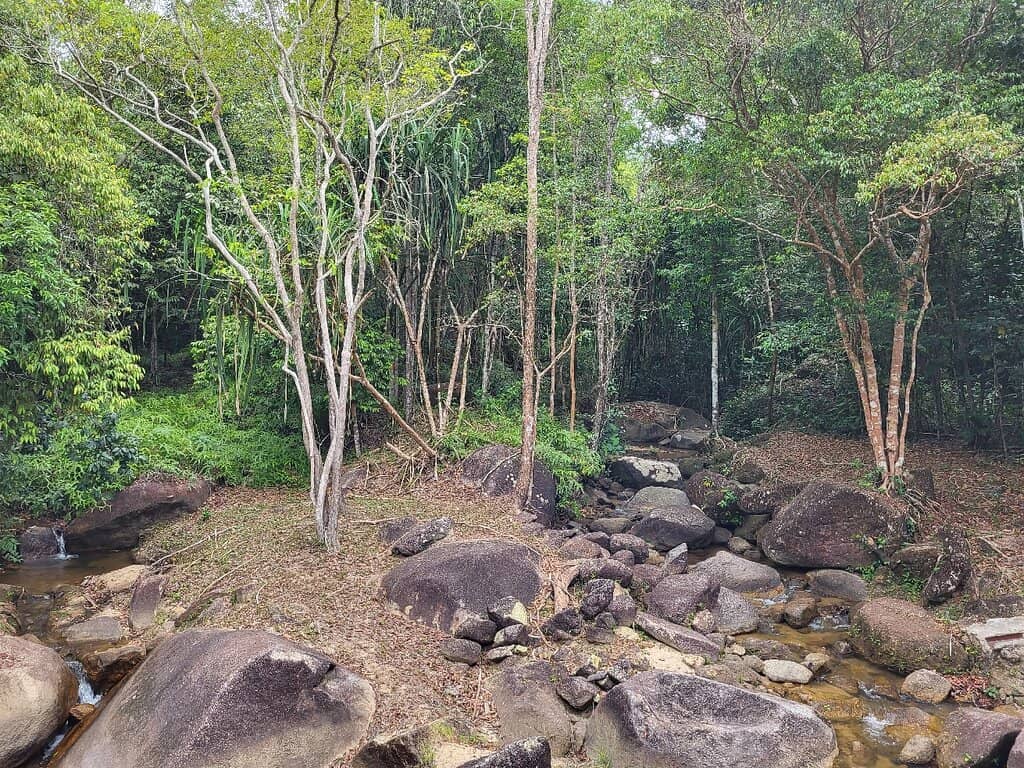 Jogging & Cycling Path