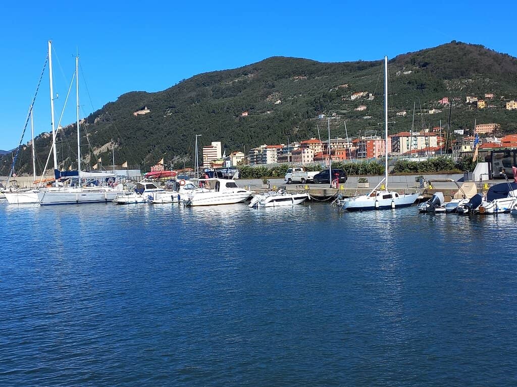 Marina Services